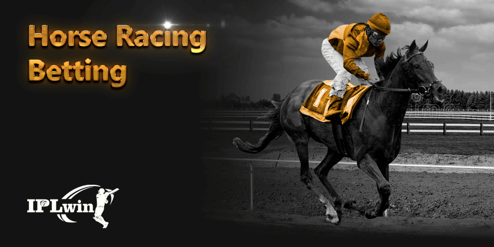 Esporte net vip bets