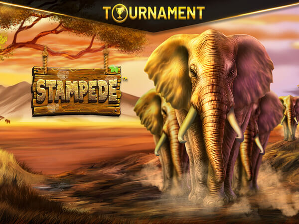 Jogos de futebol online